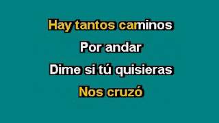 Julieta Venegas Andar contigo Karaoke [upl. by Anyalram342]