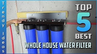 Top 5 Best Whole House Water Filters in 2024 [upl. by Pentheas]