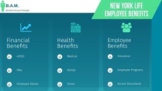 New York Times Employee Benefits  Benefit Overview Summary [upl. by Ellertnom]