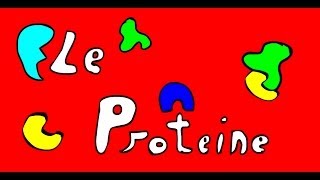 Pillole di Biologia 4 Le Proteine [upl. by Ylam]