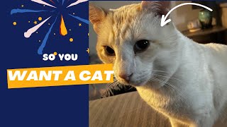 Some Facts About Cats You Didnt Know [upl. by Kabab]