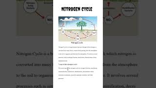 Nitrogen cycle  NCERT [upl. by Iand]