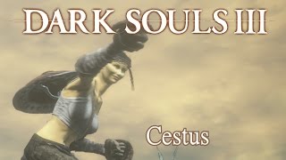 How To Punch Dark Souls PVE Caestus Build [upl. by Areehs]