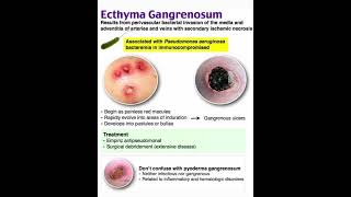 Ecthyma gangrenosum [upl. by Deuno]