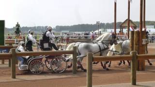 Lázár Zoltán HUN CH M A4 Alltech FEI WEG Caen Normandy FRA 2014 Marathon O 1 06 09 2014 [upl. by Finah]