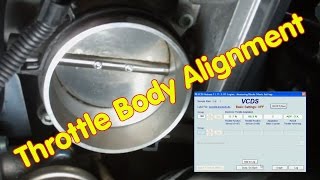 How to do the Throttle Body Alignment with VCDS [upl. by Gavra]