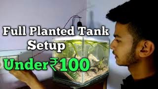 Full Planted tank setup under ₹100 [upl. by Camp]