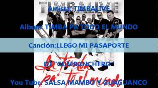 TIMBALIVE LLEGO MI PASAPORTE [upl. by Iana]