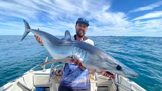 Westernport amp Bass strait Shark fishing chasing Makos and Bronzeys [upl. by Hanima]