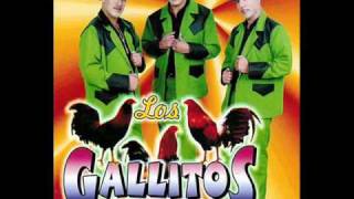 Los Gallitos De Chihuahua  Basta Ya [upl. by Ringe]