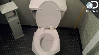 Do Toilet Seat Covers Really Protect You [upl. by Wilmott]