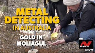 Gold Found in Moliagul with Minelab GPX 6000 Metal Detector [upl. by Goodspeed]