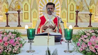 Holy Mass December 16 Saturday I 530 AM I Malayalam I Syro Malabar I Fr Bineesh Augustine [upl. by Akalam]