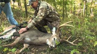 Tracking Deer and What To Do After The Shot [upl. by Lanaj]