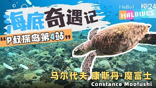 除了房间，其它都是顶配了吧！P叔探岛之马尔代夫康斯丹·魔富士Constance Moofushi Maldives [upl. by Babita90]