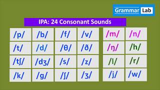 IPA 24 Consonant Sounds [upl. by Carmon]