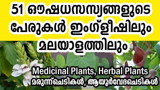 51 Medicinal plants names in English and Malayalam  ഔഷധ സസ്യങ്ങൾ herbs oushadha chedikal 🌿🌿 [upl. by Luana496]