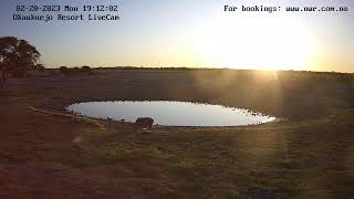 Okaukuejo Resort Wildlife Waterhole Live camera stream in the Etosha National Park in Namibia [upl. by Diehl]