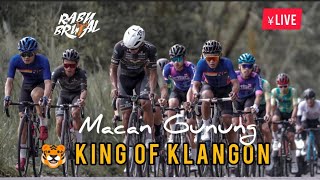 MEN ELITE Rabubrutal 6 King Of Klangon Macan Gunung 3 Feb 2024 [upl. by Bayer]