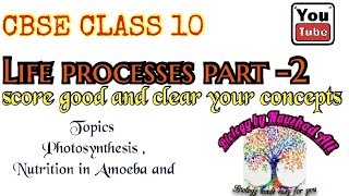 Life processes part 2  topic  photosynthesis  nutrition in Amoeba and ParameciumHindi  english [upl. by Angelo]