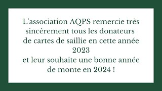 AQPS 2023  les 60 saillies gratuites [upl. by Skier330]