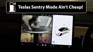 Tesla Sentry Mode Is Bloody Expensive [upl. by Osei]