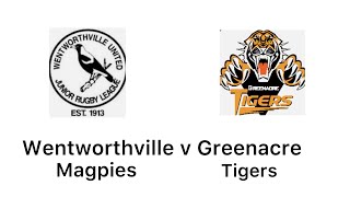 Wentworthville Magpies vs Greenacre Tigers Under 14 Division 1 battle [upl. by Moyna326]