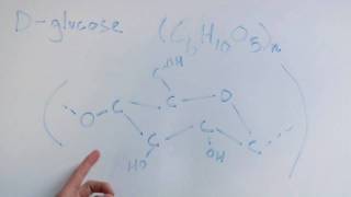 Chemistry amp Nature Facts  What Is the Basic Unit of Cellulose [upl. by Anihc]