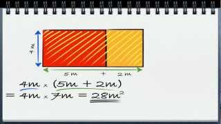 Algebra video 5  multiplikasjon med parentesuttrykk én parentes [upl. by Juliane]