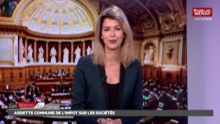 Auditions sur limpôt sur les sociétés  Les matins du Sénat 05122016 [upl. by Johannes]