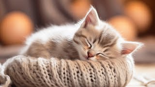 Calming Music for Anxious Cats Soothing Sounds for Deep Relaxation and Sleep [upl. by Tima]