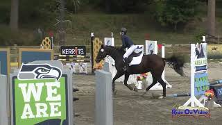 216S Bethany DeVilbiss on Sugarseeker Open Novice Show Jumping Aspen Farms Sept 2024 [upl. by Nessnaj674]