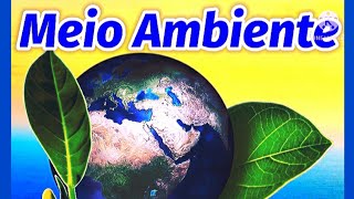 Vídeo Aula  O MEIO AMBIENTE  Conceito Importância Problemas e Preservação [upl. by Selij427]