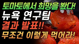 뉴욕 연구팀 발표 작은 토마토에서 희망을 봤다 염증이 사라진다 매일 먹으면 만성염증을 없애는 효능 [upl. by Aara]