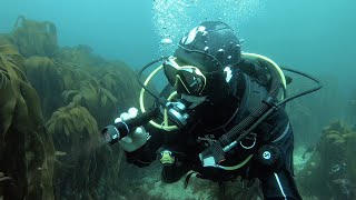 Scuba Diving Gear Review Nova 850 Tec Dive Light from Scubapro [upl. by Sibby789]