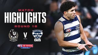 Collingwood v Geelong Highlights  Round 18 2024  AFL [upl. by Xad631]