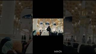 roza e rasooltrendingshorts viralreels viralshort masjidnabawi [upl. by Lishe]