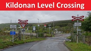 Kildonan Level Crossing  Far North Line  Kildonan Highland [upl. by Shu]