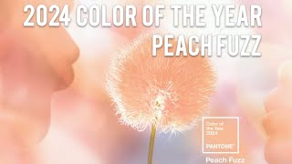 2024 Pantone Color of the Year Peach Fuzz 🍑 [upl. by Amery]