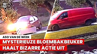 Absurd Mysterieuze bloembakbeuker gefilmd in Vinkeveen [upl. by Omrelliug]