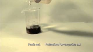 Reaction of Ferric solution with Potassium Ferrocyanide [upl. by Etteloc405]