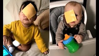 Cheesed Challenge Compilation  Viral New trend  Funniest cheesed babies  Cheese slice on baby [upl. by Fabrienne]