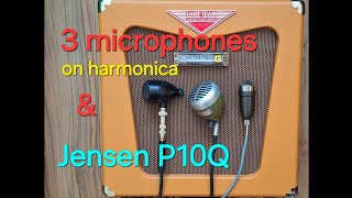 3 microphones on harmonica amp Lone Wolf Harp Train 10 amp Jensen P10Q [upl. by Lunn]