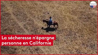 ÉtatsUnis  la Californie sévèrement frappée par la sécheresse [upl. by Eisele]