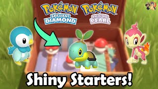 How To SHINY HUNT Sinnoh STARTERS In Pokémon Brilliant Diamond amp Shining Pearl [upl. by Nnayllas]