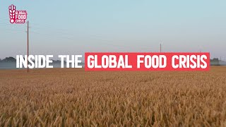 Will there be a global food shortage [upl. by Daveen]