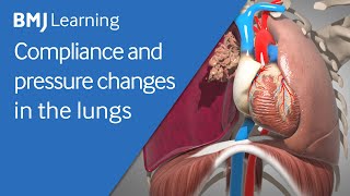 Basics of ventilation Compliance and pressure changes in the lungs [upl. by Gar]