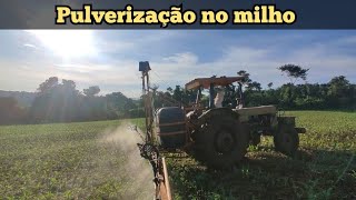 Passando Sonda quotTerbutilazinaquot no milho safrinha NIDERA Ns 75 [upl. by Saile]