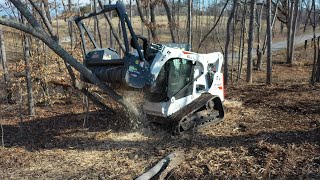 INCREDIBLE BRUSH BEAST Forestry mulcher clearing thick brush [upl. by Novyak]