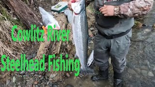 Cowlitz RiverSteelhead Fishing [upl. by Ystap]